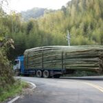 truck with bamboos